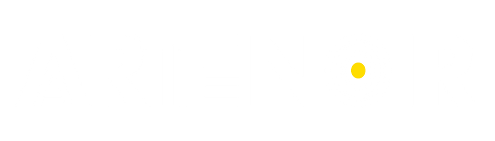 Arte Noir Logotype RGB horiz white.png